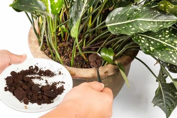 冬季积肥的意思，指精心储存生物菌肥