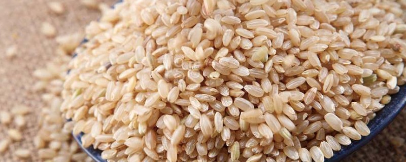 稻谷脱壳后叫什么,叫做糙米