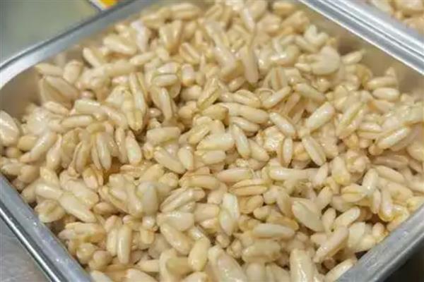 钓鲮鱼用什么饵料，爱吃麸香味、腥香味的饵料