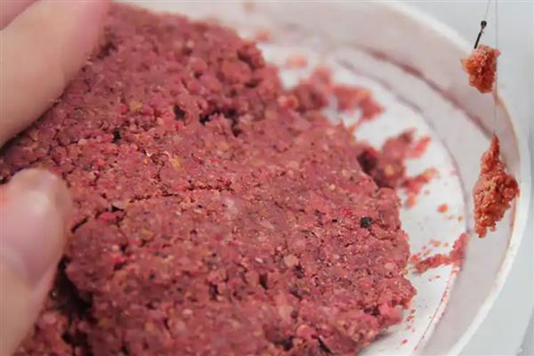 钓鲮鱼用什么饵料，爱吃麸香味、腥香味的饵料