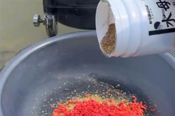 钓鲮鱼用什么饵料，爱吃麸香味、腥香味的饵料