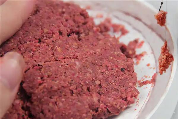 钓鲮鱼用什么饵料，爱吃麸香味、腥香味的饵料