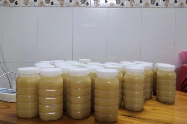 鸭脚木蜜的简介，是蜜蜂采集鸭脚木的花蜜酿制而成