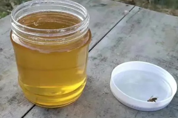 鸭脚木蜜的简介，是蜜蜂采集鸭脚木的花蜜酿制而成