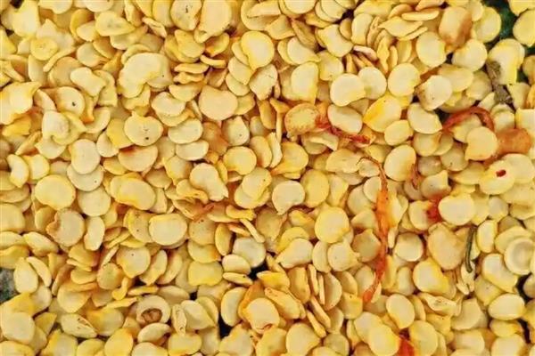 太空椒的育种方法，利用航空诱变育种途径培育而成