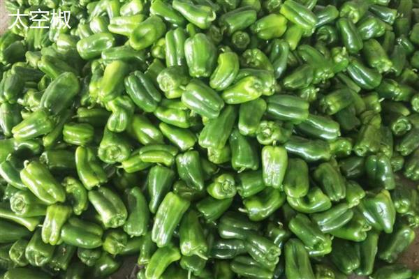 太空椒的育种方法，利用航空诱变育种途径培育而成