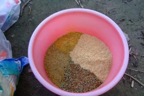 立春后钓鱼用什么饵料,可以用动物饵料