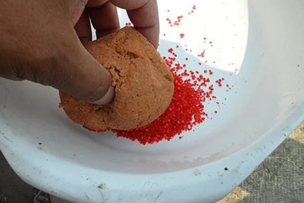 立春后钓鱼用什么饵料,可以用动物饵料