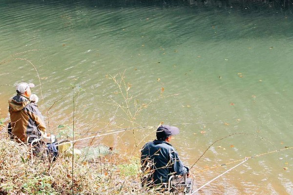 立春后钓鱼用什么饵料,可以用动物饵料