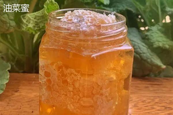 槐花蜜是热性的吗，是偏凉性的蜂蜜