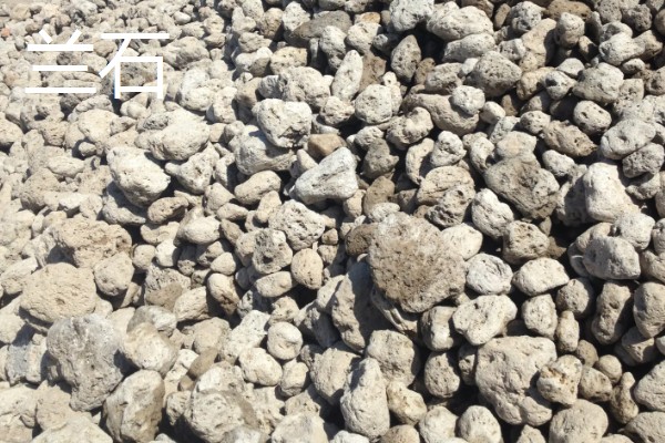 多肉植物能放卧室吗，多肉植物可以放在卧室里