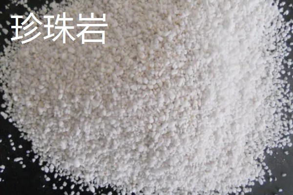 多肉植物能放卧室吗，多肉植物可以放在卧室里