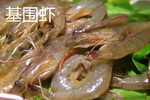 对虾和基围虾的区别是什么，种属和外形均不同