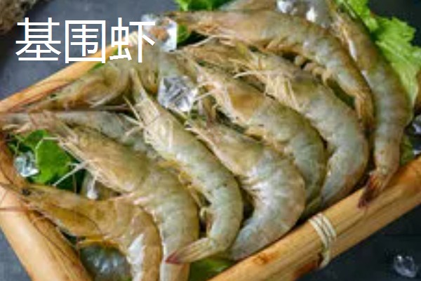 对虾和基围虾的区别是什么，种属和外形均不同