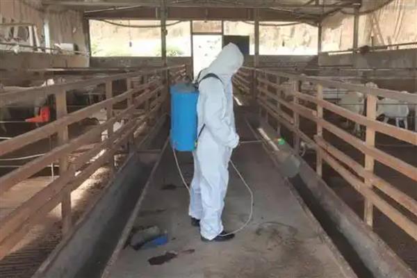 牛养殖场的消毒措施，清扫后撒生石灰进行消毒