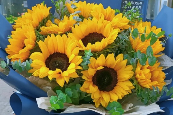 16朵向日葵代表的意思,寓意深切的爱意、幸福无边等