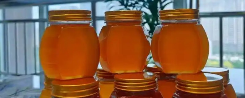 百花蜜和单花蜜的区别，采蜜的种类不同
