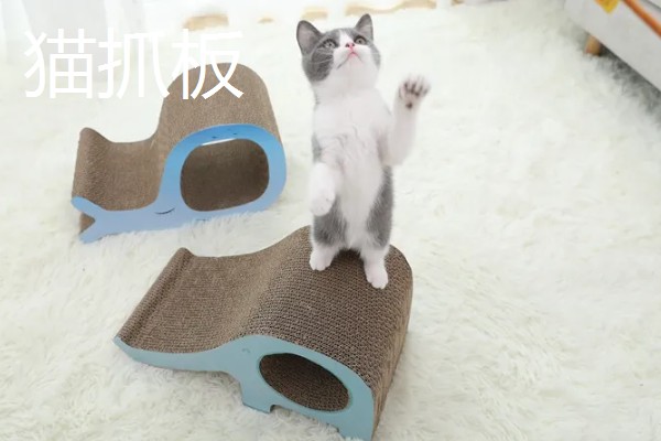 猫咪有哪些喜欢的玩具，推荐猫抓板、小老鼠等