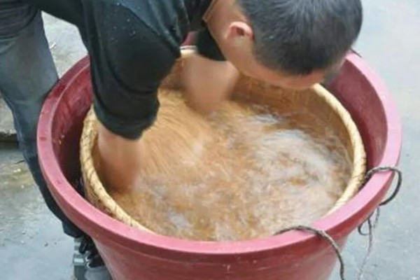 栽培农作物之前怎么处理种子，首先要精选种子