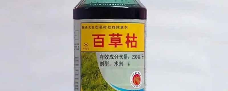 灭生性除草剂百草枯的应用，可在桑园、草坪上应用