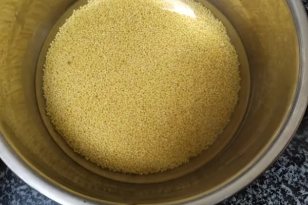 小米什么时候收割，南方9月左右就可收割