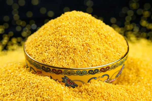 小米什么时候收割，南方9月左右就可收割