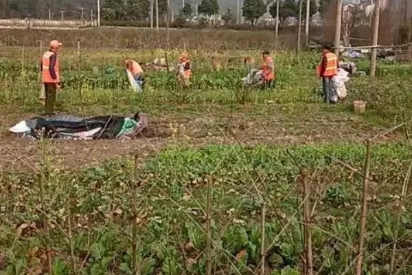 预防蔬菜死苗的方法，使用生物菌肥可预防土传病害
