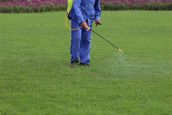 灭生性除草剂百草枯的应用，可在桑园、草坪上应用