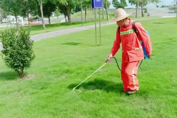 灭生性除草剂百草枯的应用，可在桑园、草坪上应用