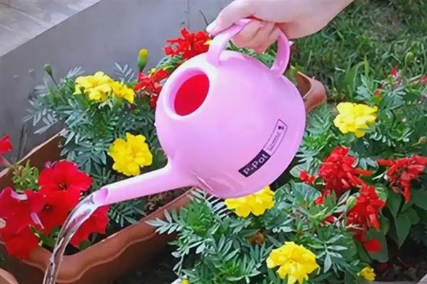 种花的正确方法,要准备一个盆底带孔的花盆