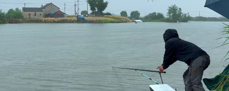 八月钓鱼技巧,首选钓点是树荫下