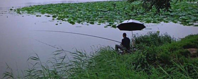 鲫鱼用pe线做子线好不好