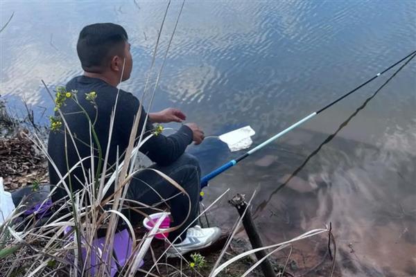 八月钓鱼技巧,首选钓点是树荫下