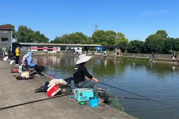 八月钓鱼技巧,首选钓点是树荫下
