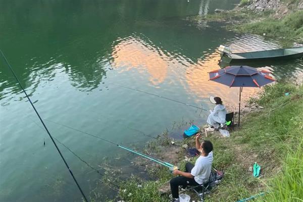 八月钓鱼技巧,首选钓点是树荫下