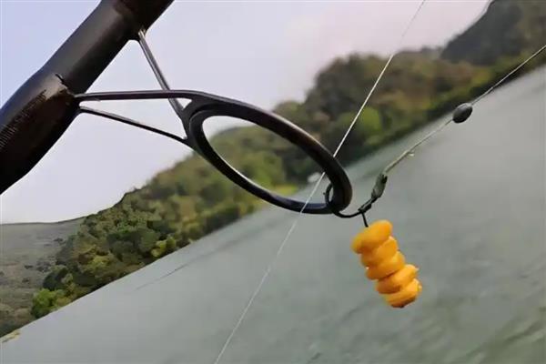 八月钓鱼技巧,首选钓点是树荫下