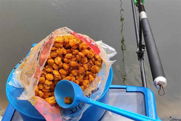 八月钓鱼技巧,首选钓点是树荫下