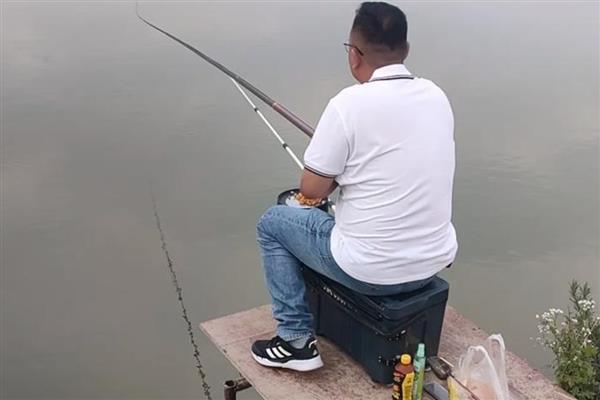 八月钓鱼技巧,首选钓点是树荫下