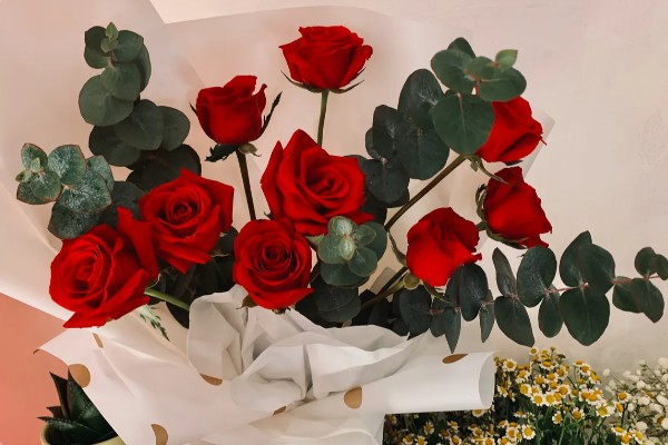 九朵玫瑰的花语，寓意相爱长久、终生相爱等