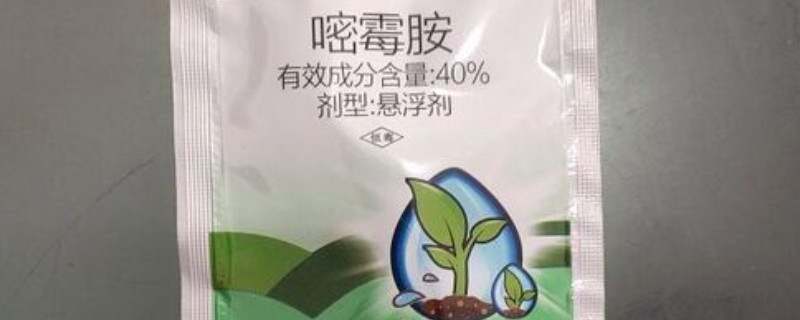 防治灰霉病的特效药，推荐嘧霉胺、腐霉利等