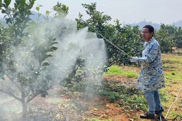 蜜柚园装喷灌系统好吗，蜜柚园装喷灌系统好