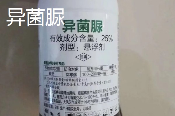 防治灰霉病的特效药，推荐嘧霉胺、腐霉利等