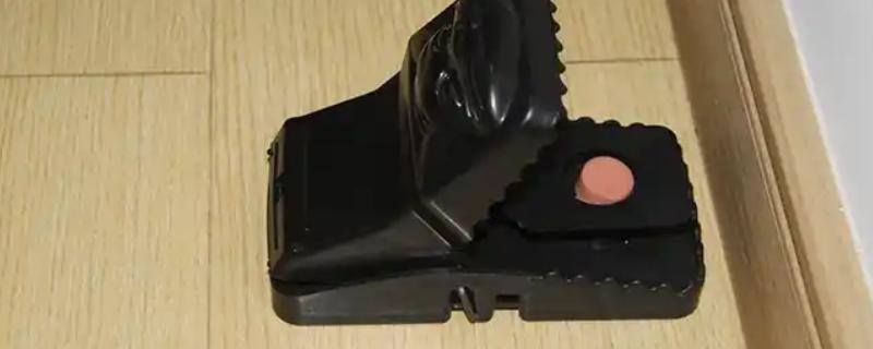 驱鼠的最佳办法,可以用老鼠夹灭鼠