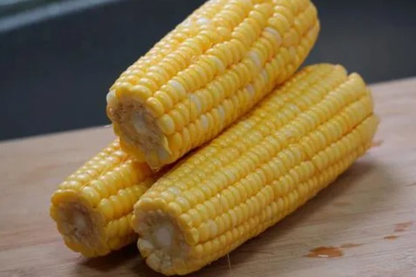 高油玉米的特点,其含油量很高