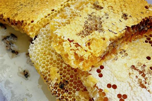 蜂巢蜜有没有人造的,有人造的蜂巢蜜