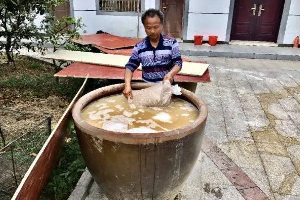 水稻种子品种推荐，推荐五优稻2号、越光等