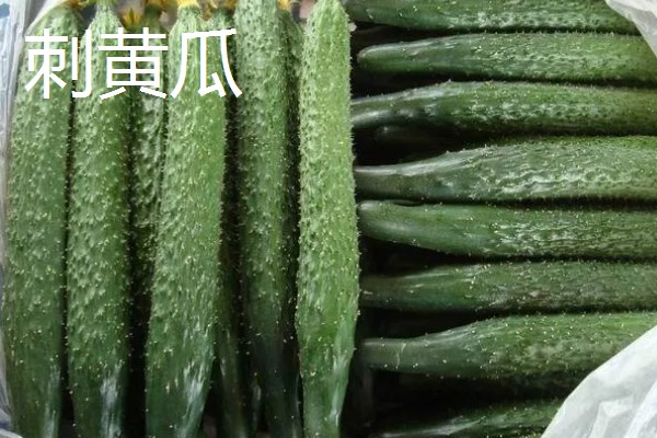 黄瓜的种类，分为刺黄瓜、鞭黄瓜和秋黄瓜三种