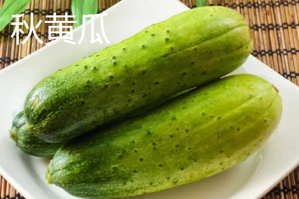 黄瓜的种类，分为刺黄瓜、鞭黄瓜和秋黄瓜三种