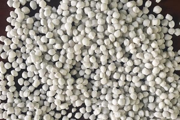 怎么盆栽罗汉松，移植以春季3-4月最好