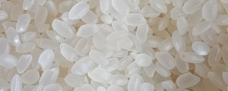 珍珠米和长粒香的区别,分布、形状不同